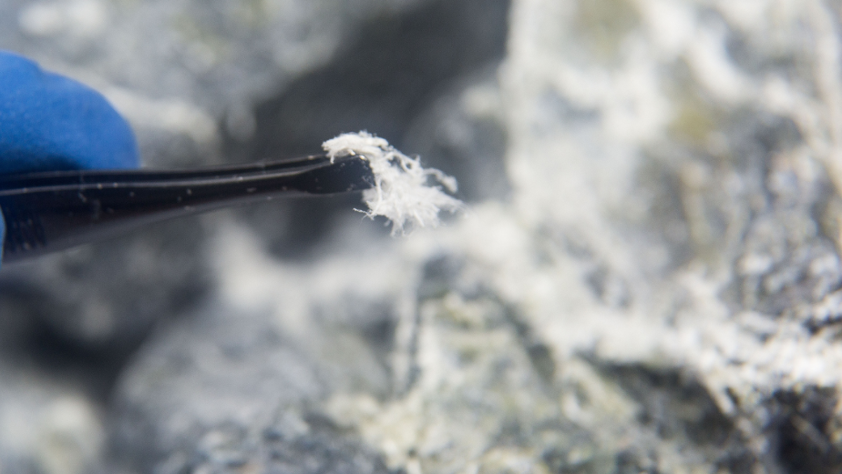 Rückruf bei SPAR: Asbest in Kinderspielzeug gefunden Rückruf bei SPAR: Asbest in Kinderspielzeug gefunden