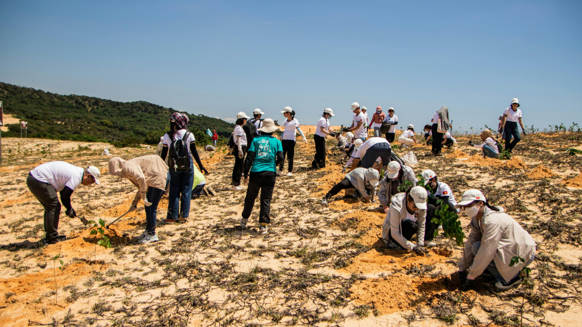 Von wegen Weltrettung: Wieso Baumpflanz-Projekte teils mehr schaden als nutzen Von wegen Weltrettung: Wieso Baumpflanz-Projekte teils mehr schaden als nutzen