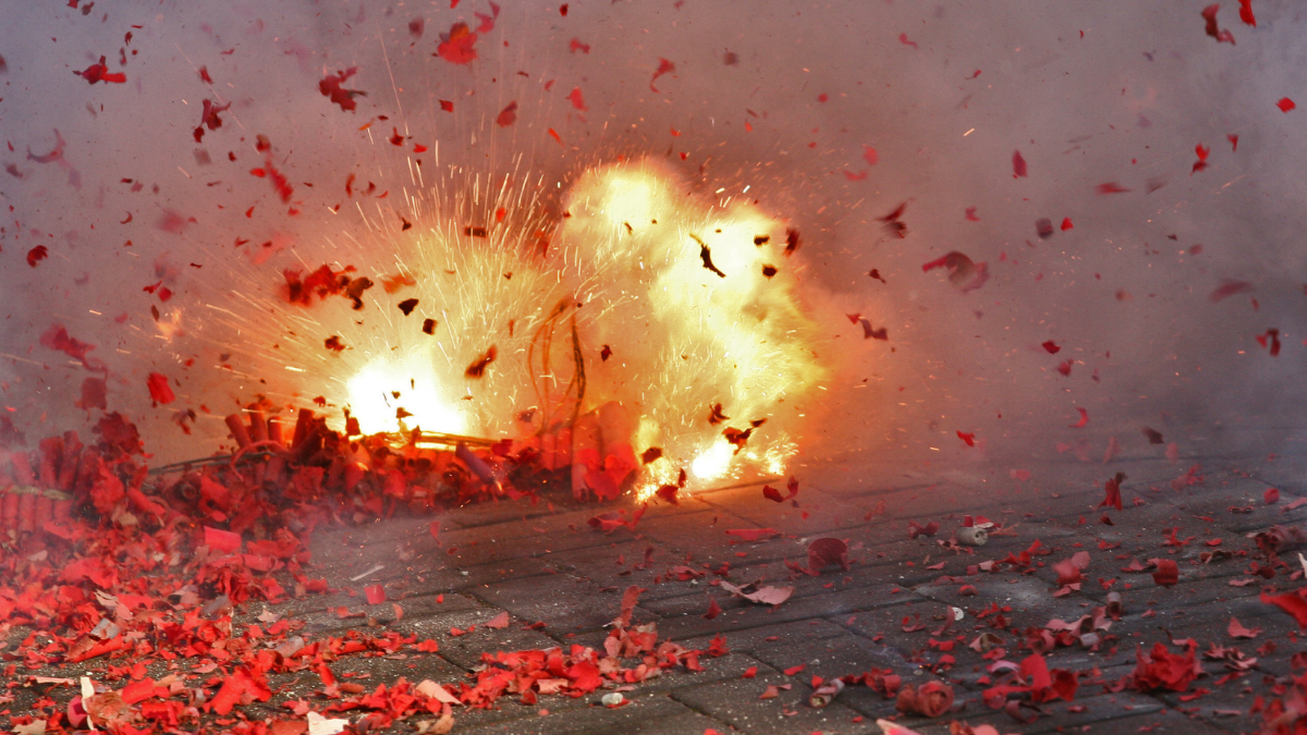 Verletzte Kinder, tote Tiere: Alle Gründe, wieso das Böllern verboten werden sollte