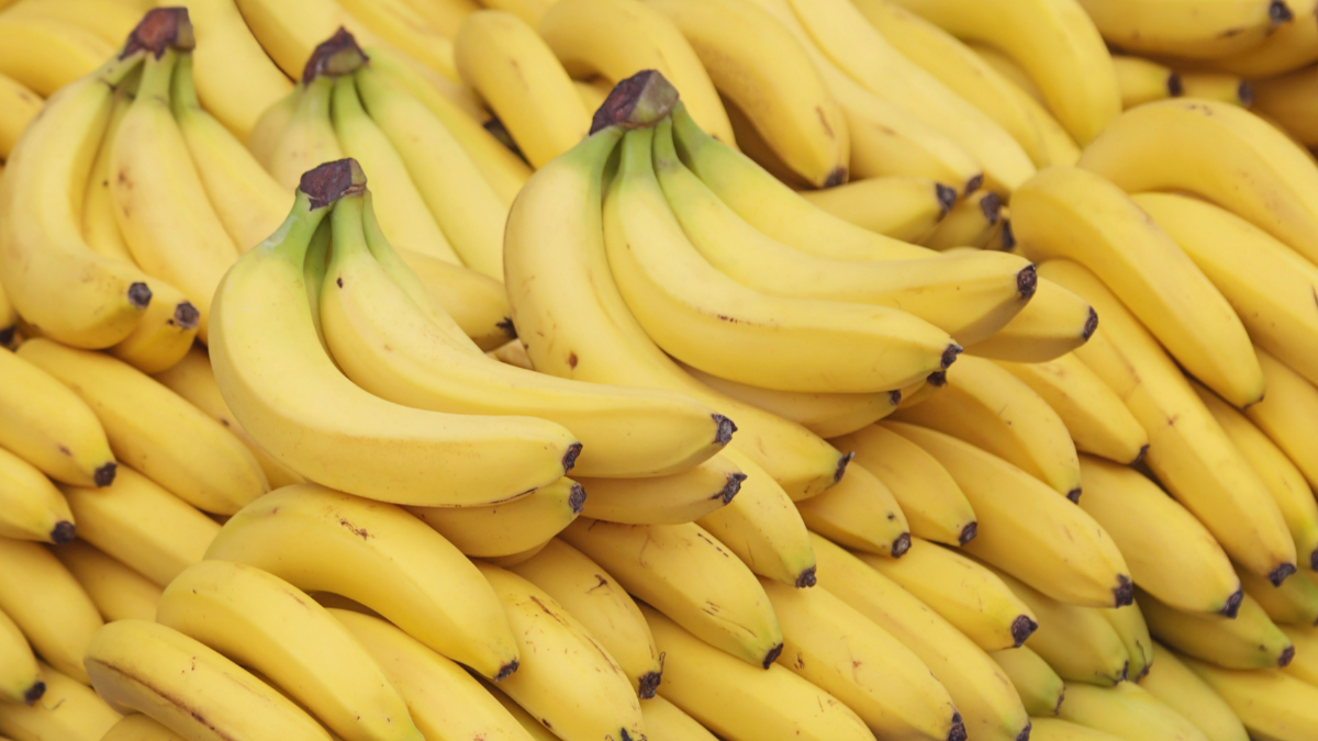 Im Fruchtkontor: Wo hunderte Millionen Bananen pro Jahr für uns reifen