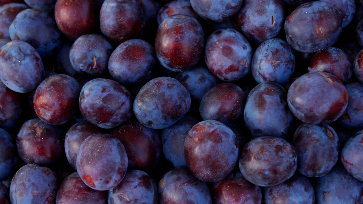 „Katastrophal“: So stark sind die Rückgänge bei der heurigen Obst-Ernte