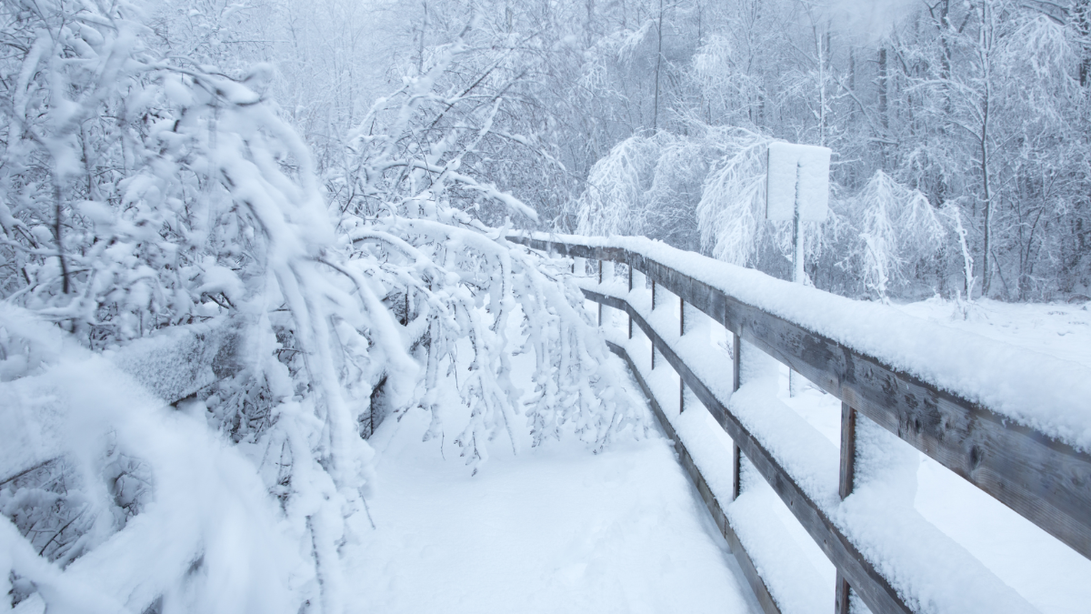 Monster aus Schnee & Eis: Zig Millionen Menschen von gigantischem Wintersturm bedroht Monster aus Schnee & Eis: Zig Millionen Menschen von gigantischem Wintersturm bedroht