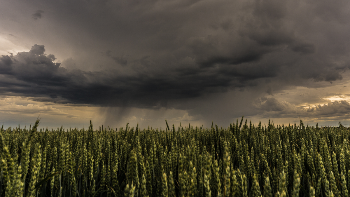 Straßen gesperrt: Höchste Unwetter-Warnstufe für diese Regionen ausgerufen
