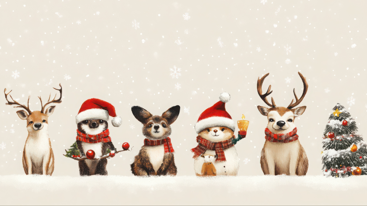 Letzter Rettungsanker für Tiere in Not: Wir starten Sammlung, um 2026 helfen zu können Letzter Rettungsanker für Tiere in Not: Wir starten Sammlung, um 2026 helfen zu können