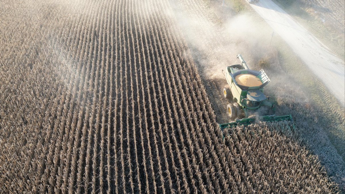 Trumps Politik: Wieso die US-Landwirtschaft jetzt vor dem Kollaps steht