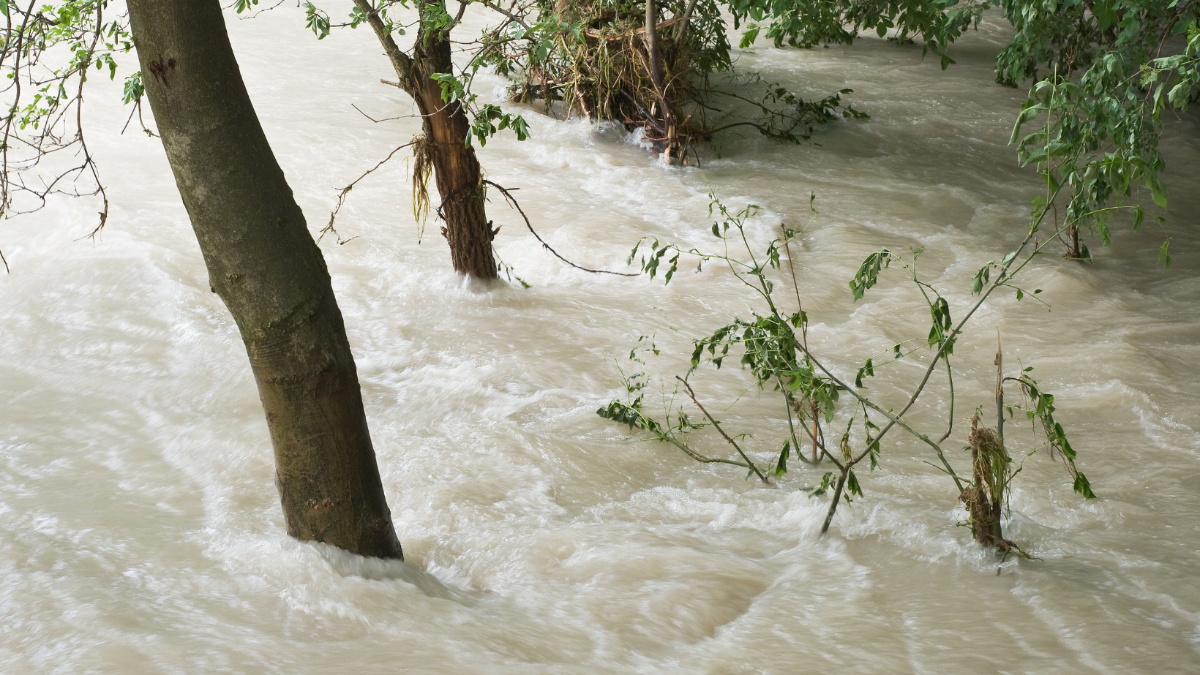Wetterextreme 2025: Vorschau auf das, was uns im ungebremsten Klimawandel droht Wetterextreme 2025: Vorschau auf das, was uns im ungebremsten Klimawandel droht