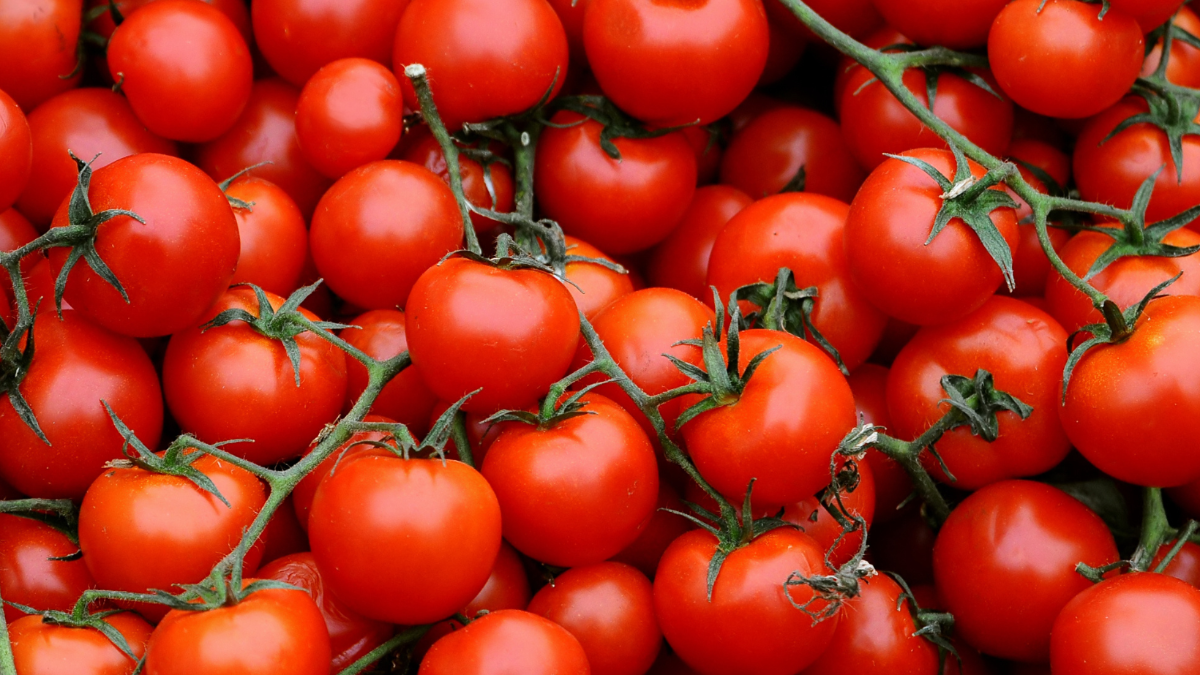 Salmonellen in Gemüse: Handelskonzern muss ganze Charge zurückrufen Salmonellen in Gemüse: Handelskonzern muss ganze Charge zurückrufen