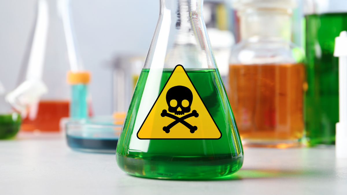 Bisphenol A: Belastung ist allgegenwärtig, Risiken größer als angenommen