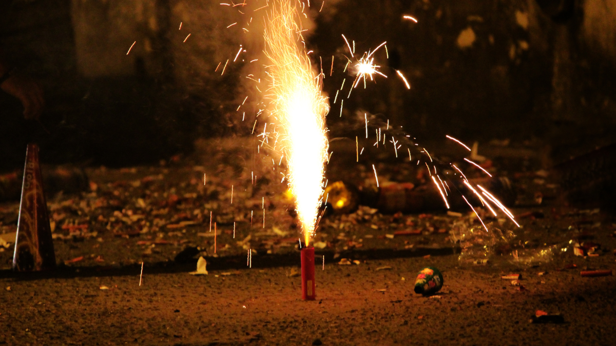 Gut für Tiere & Natur: Nächstes EU-Land verbietet Böllerei zu Silvester