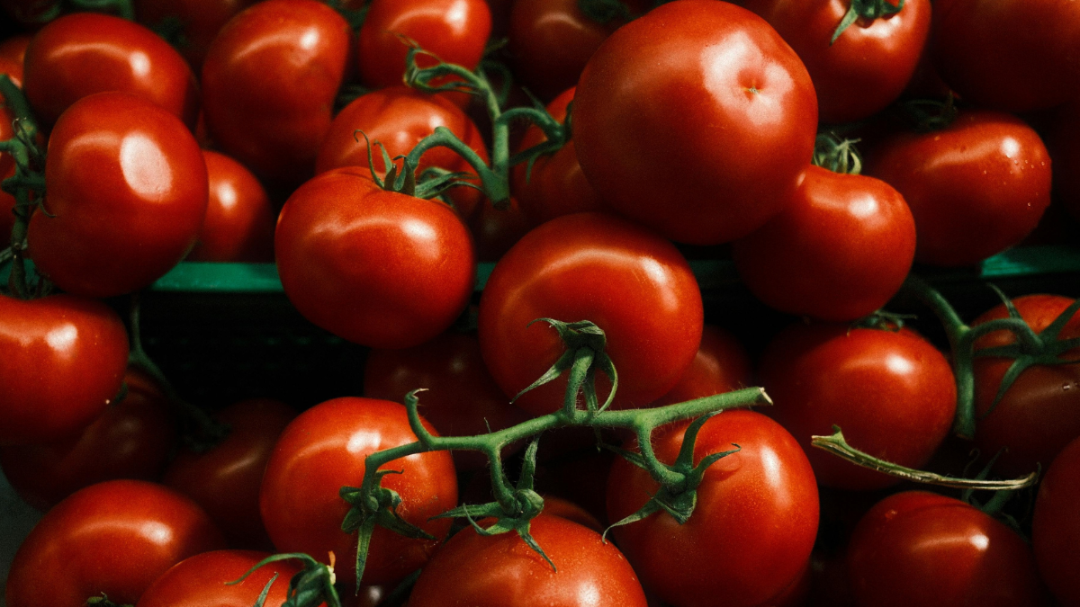 Blutige Ernte: Wie Menschen für unser billiges Obst & Gemüse ausgebeutet werden Blutige Ernte: Wie Menschen für unser billiges Obst & Gemüse ausgebeutet werden
